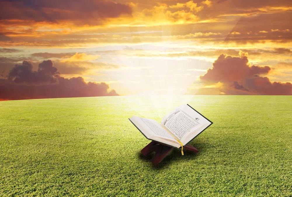 万豪娱乐·(中国游)有限公司官网